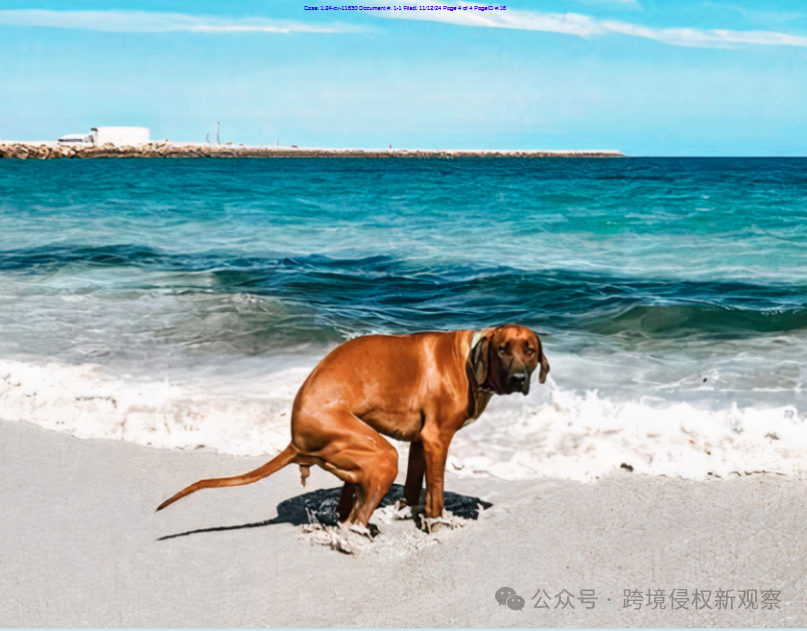 狗狗“方便瞬间”幽默作品,发起了维权!尽快下架处理!